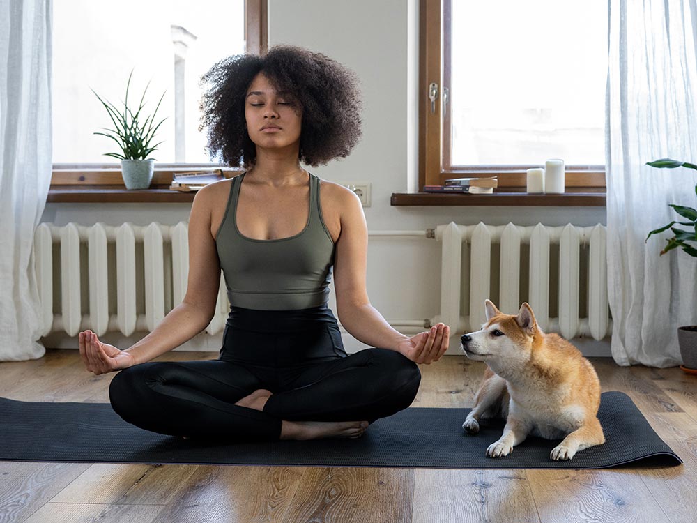 Pellentesque Pulvinar Pellentesque Habitant pexels cottonbro 4047042